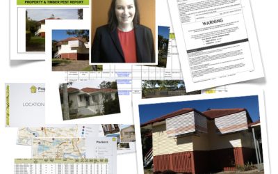 Brisbane Buyer’s Agent case Study— Peta Part 4 — It’s not over till it’s over!