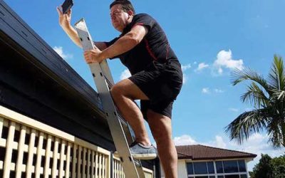 Making sense of your building and pest inspection