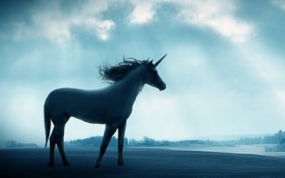 The unicorn of property investment