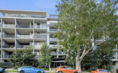 Brisbane Buyers Agent Case Study: Windsor
